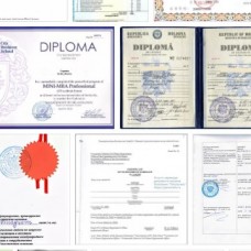 2 документа - перевод диплома/аттестата и приложения с оценками